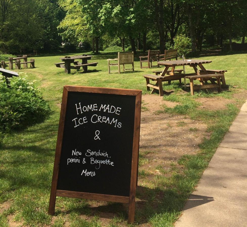 South Downs Eco Lodge&Camping East Meon Exterior foto
