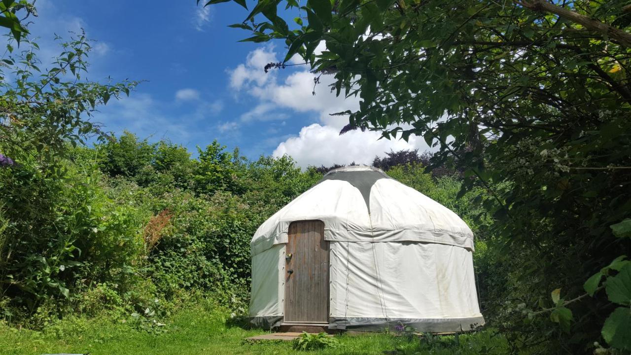 South Downs Eco Lodge&Camping East Meon Exterior foto